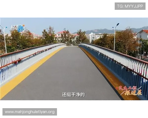 PG巨星游戏官网入口官方渠道推荐，确保玩家安全顺畅体验游戏乐趣